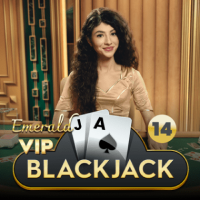 VIP Blackjack 14