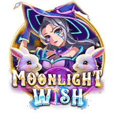 Moonlight Wish